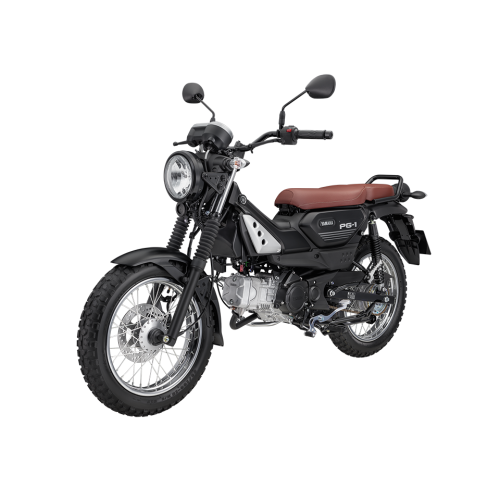 YAMAHA PG-1