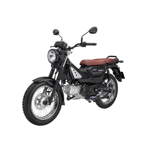 YAMAHA PG-1